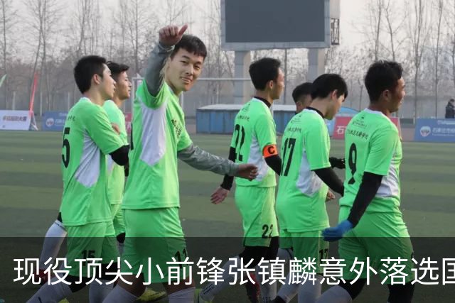 现役顶尖小前锋张镇麟意外落选国家队，郭士强选择背后的深层原因解析